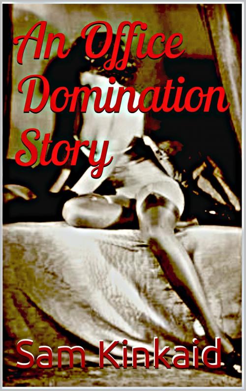 Cover of the book An Office Domination Story by Sam Kinkaid, Sam Kinkaid
