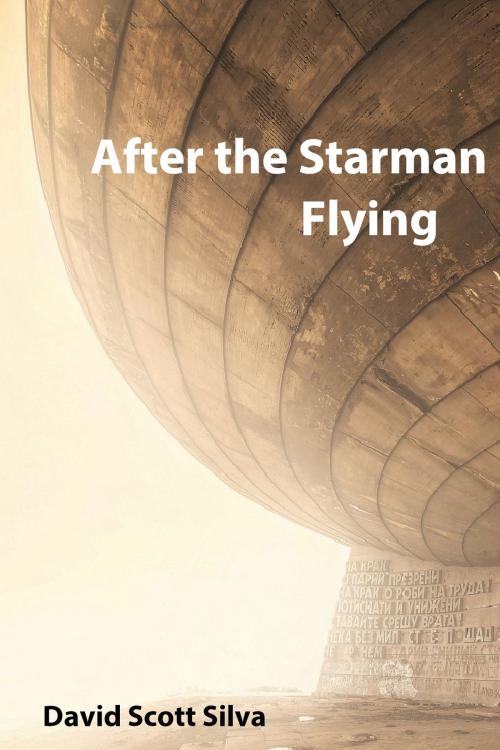 Cover of the book After the Starman Flying by David Scott Silva, Sharon Burton
