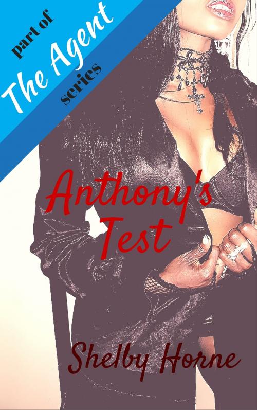 Cover of the book Anthony's Test by Shelby Horne, Shelby Horne
