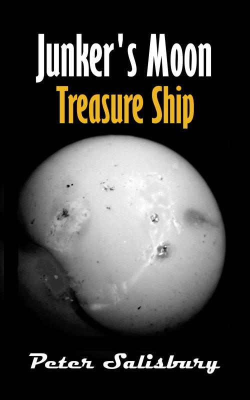 Cover of the book Junker's Moon: Treasure Ship by Peter Salisbury, Peter Salisbury