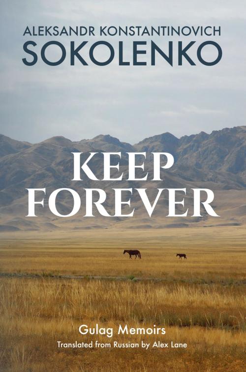 Cover of the book Keep Forever by Aleksandr Sokolenko, Alex Lane, FEHT Inc