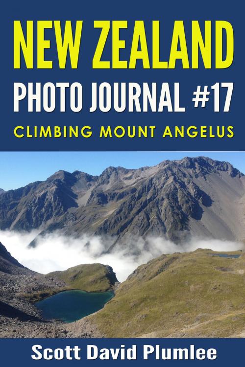Cover of the book New Zealand Photo Journal #17: Climbing Mount Angelus by Scott David Plumlee, Scott David Plumlee