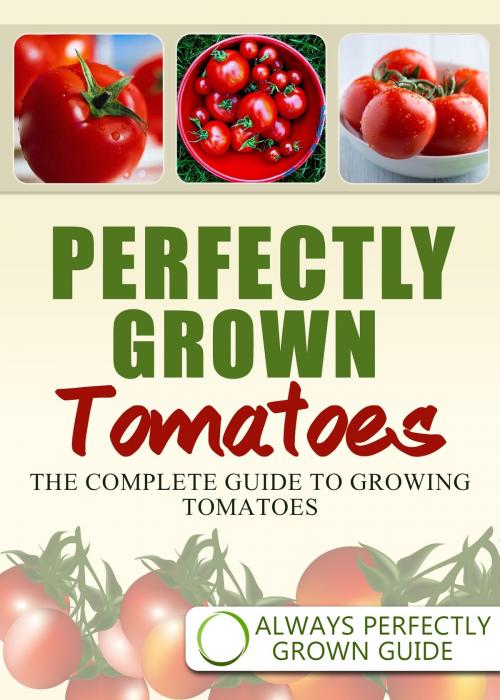 Cover of the book Perfectly Grown Tomatoes: The complete guide to growing tomatoes by Always Perfectly Grown, Always Perfectly Grown
