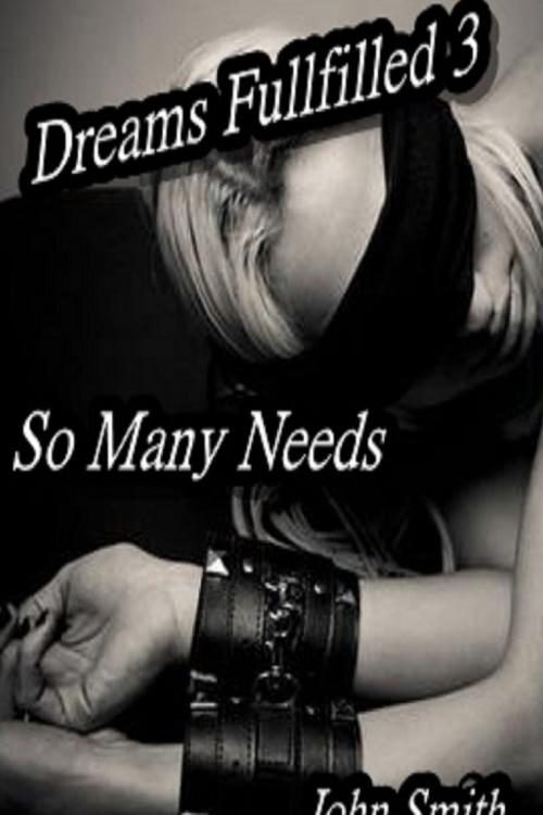 Cover of the book Dreams Fulfilled- 3- So Many Needs by John Smith, John Smith