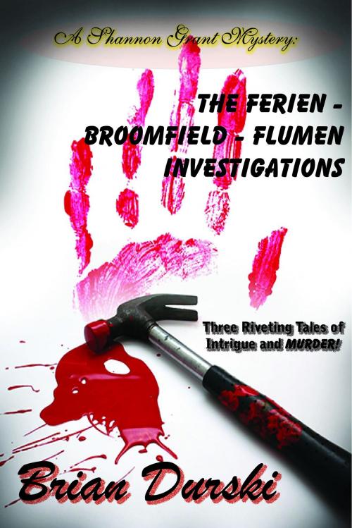 Cover of the book The Ferien: Broomfield - Flumen Investigations by Brian Durski, My Seashell Books