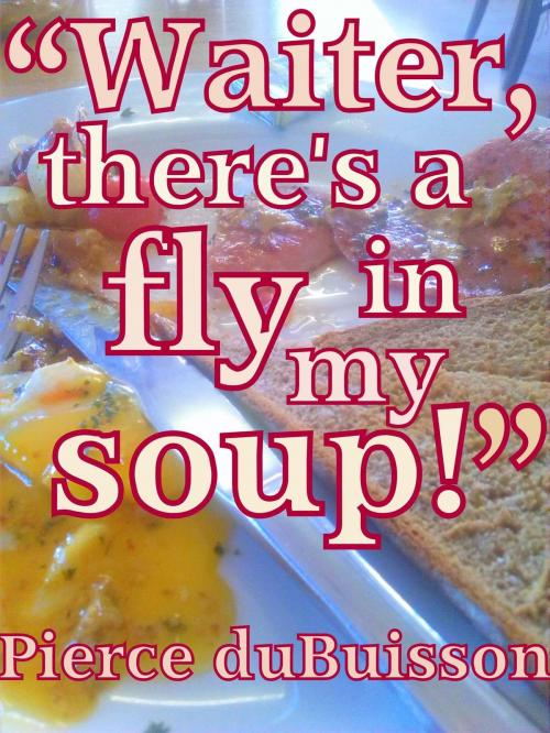 Cover of the book Waiter, There is a Fly in My Soup! by Pierce du Buisson, VintagEreads
