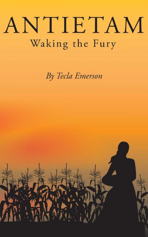 Cover of the book Antietam: Waking the Fury by Tecla Emerson, Tecla Emerson