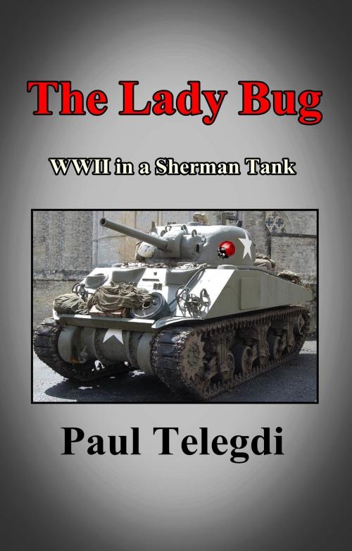 Cover of the book The Lady Bug by Paul Telegdi, Paul Telegdi