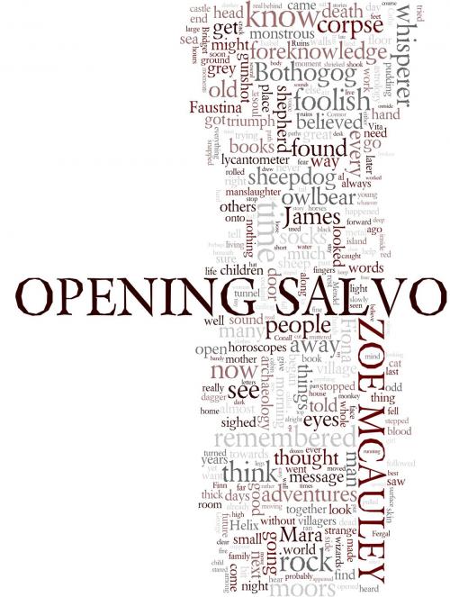 Cover of the book Opening Salvo by Zoe McAuley, Zoe McAuley
