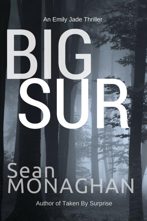 Cover of the book Big Sur by Sean Monaghan, Triple V Publishing
