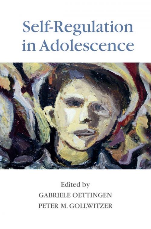 Cover of the book Self-Regulation in Adolescence by , Cambridge University Press