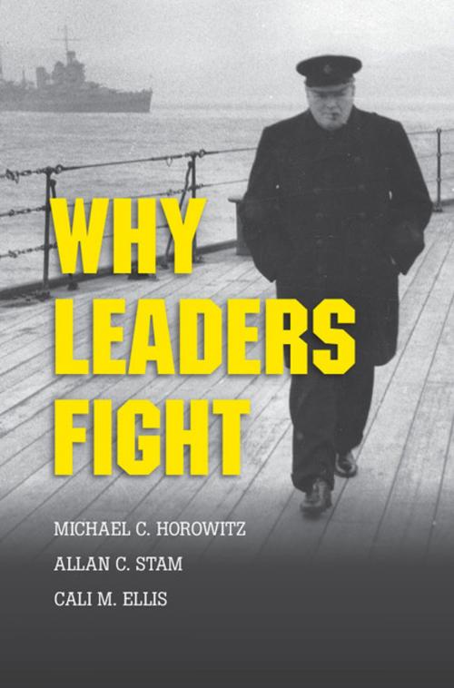 Cover of the book Why Leaders Fight by Michael C. Horowitz, Allan C. Stam, Cali M. Ellis, Cambridge University Press