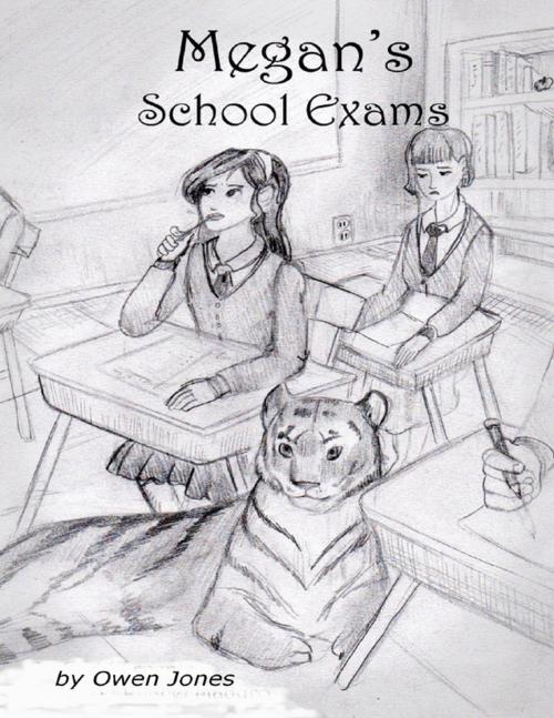 Cover of the book Megan's School Exams by Owen Jones, Lulu.com
