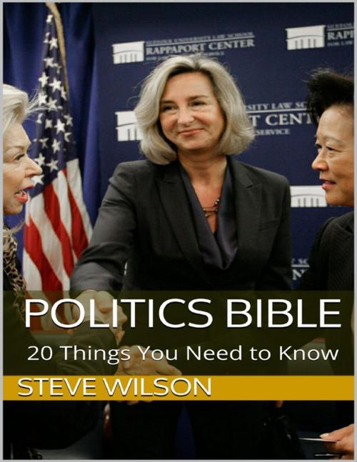 Cover of the book Politics Bible: 20 Things You Need to Know by Steve Wilson, Lulu.com