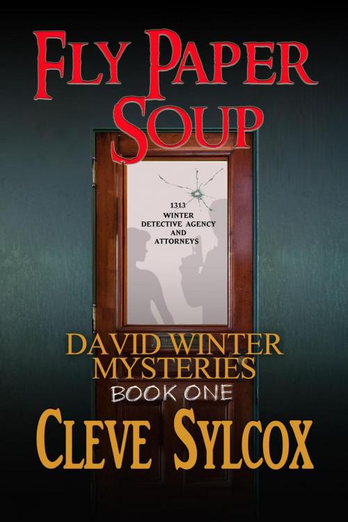 Cover of the book Fly Paper Soup by Cleve Sylcox, Cleve Sylcox