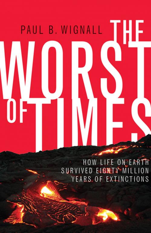 Cover of the book The Worst of Times by Paul B. Wignall, Princeton University Press