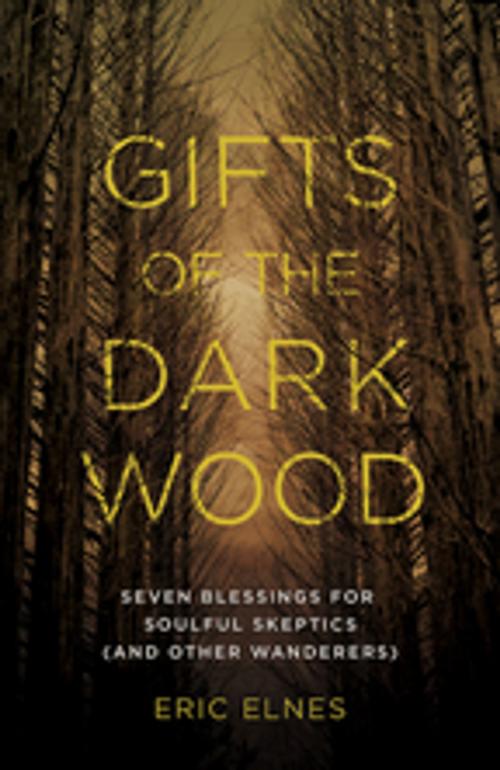 Cover of the book Gifts of the Dark Wood by Eric Elnes, Abingdon Press
