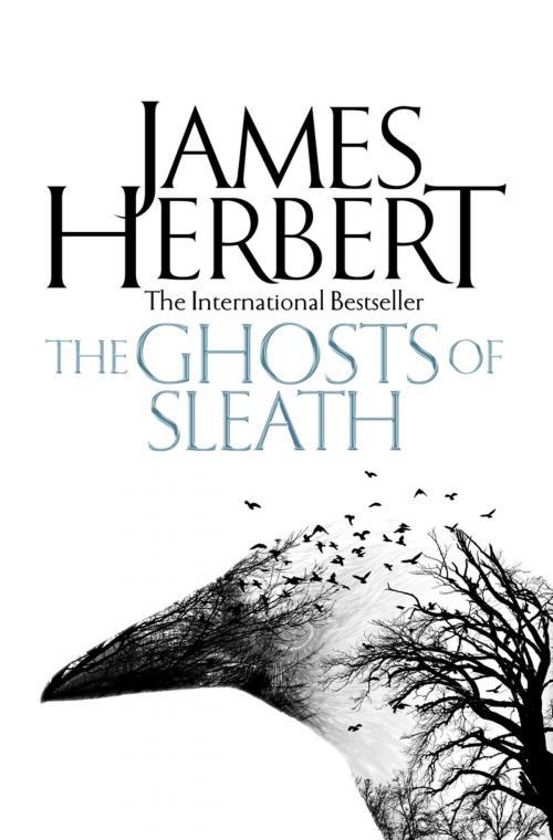 Cover of the book The Ghosts of Sleath by James Herbert, Pan Macmillan