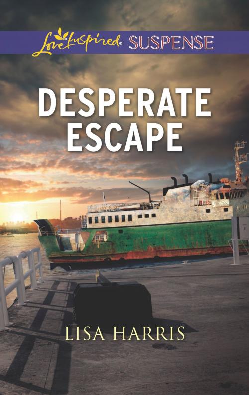 Cover of the book Desperate Escape by Lisa Harris, Harlequin