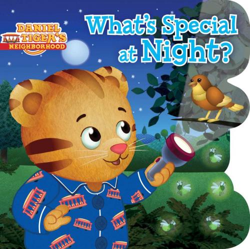Cover of the book What's Special at Night? by Daphne Pendergrass, Simon Spotlight