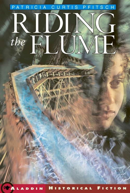 Cover of the book Riding the Flume by Patricia Curtis Pfitsch, Simon & Schuster Books for Young Readers