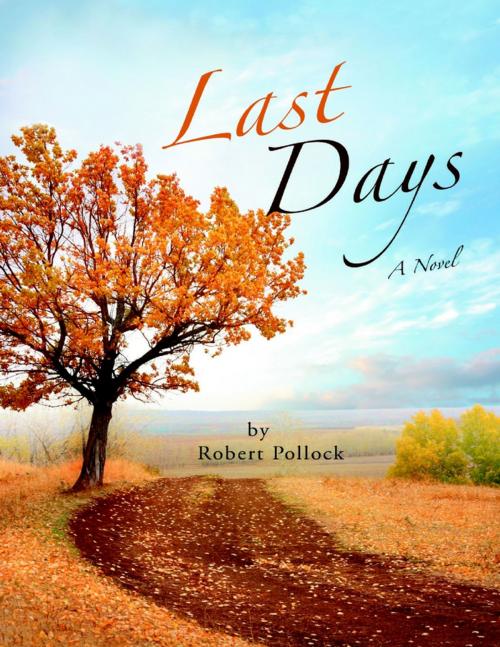 Cover of the book Last Days: A Novel by Robert Pollock, Lulu Publishing Services