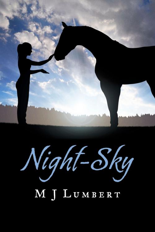Cover of the book Night-Sky by M J Lumbert, BookBaby