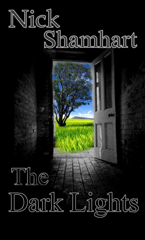 Cover of the book The Dark Lights by Nick Shamhart, BookBaby