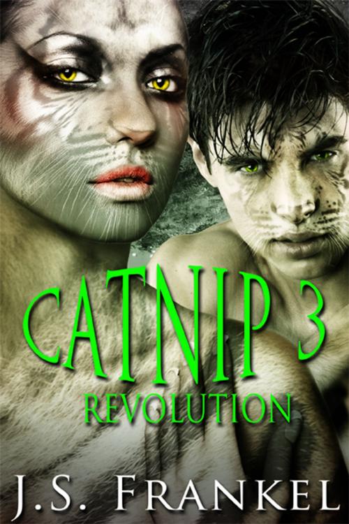 Cover of the book Revolution by J.S. Frankel, eXtasy Books Inc