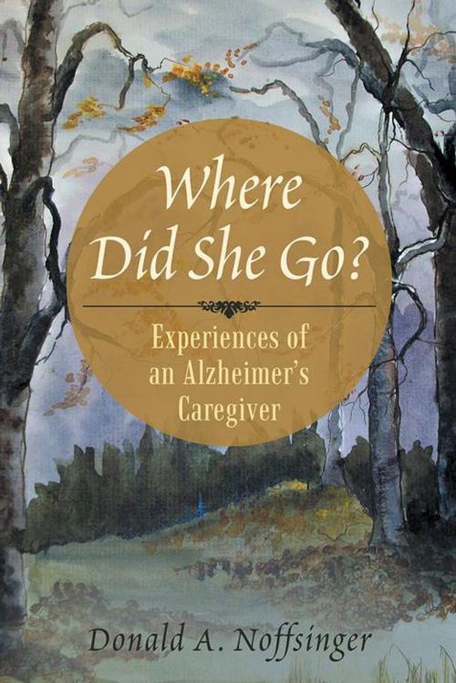 Cover of the book Where Did She Go? by Donald A. Noffsinger, iUniverse