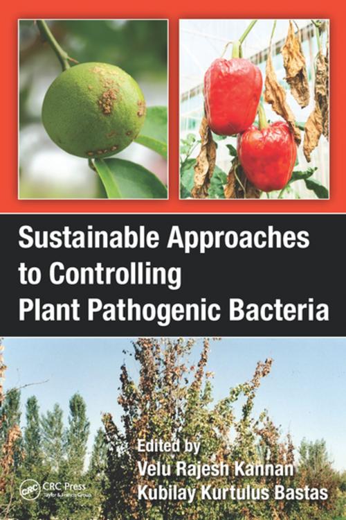 Cover of the book Sustainable Approaches to Controlling Plant Pathogenic Bacteria by , CRC Press