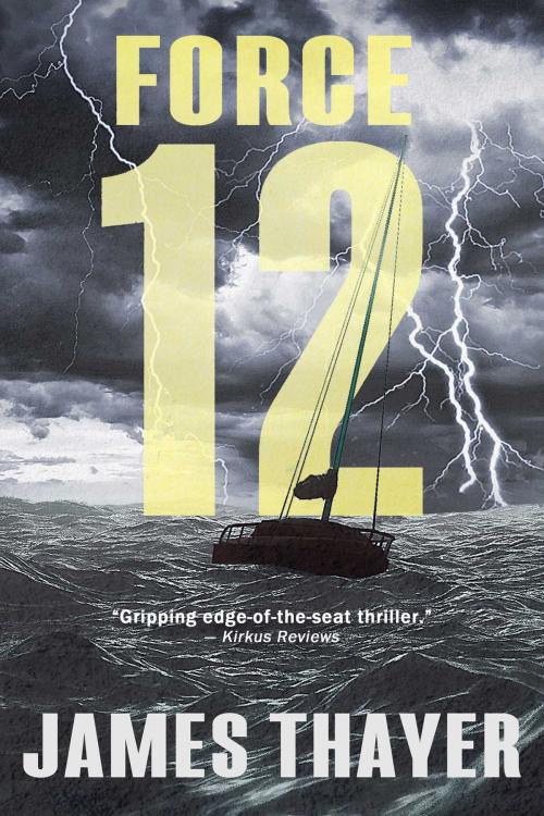 Cover of the book Force 12 by James S Thayer, Simon & Schuster