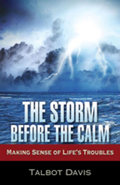 Cover of the book The Storm Before the Calm by Talbot Davis, Abingdon Press