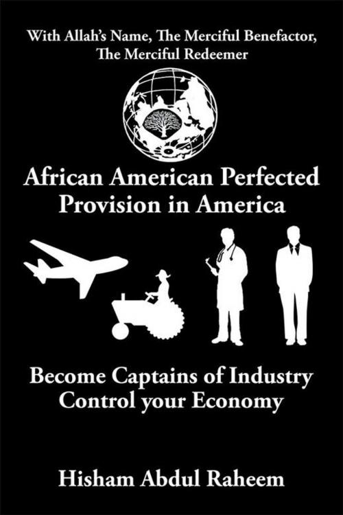 Cover of the book African American Perfected Provision in America by Hisham Abdul Raheem, Xlibris US