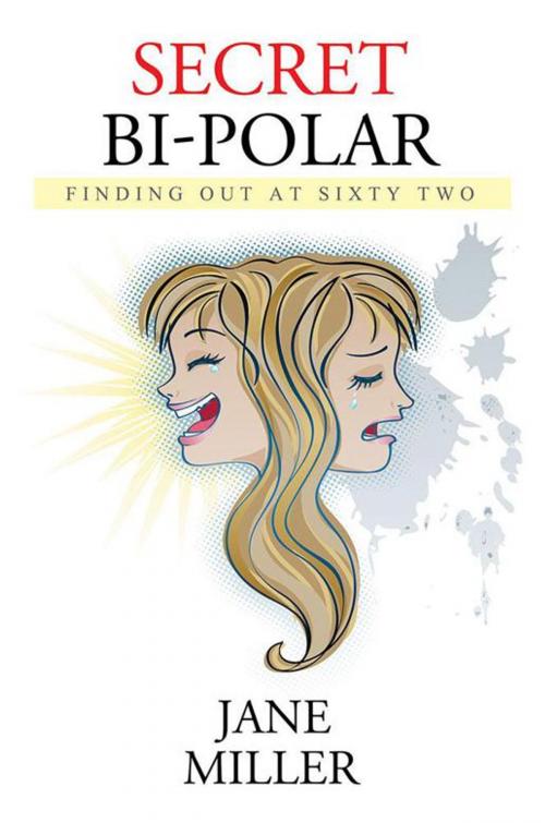 Cover of the book Secret Bi-Polar by Jane Miller, Xlibris US