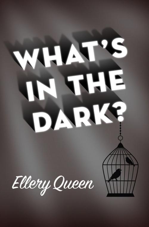 Cover of the book What's in the Dark? by Ellery Queen, MysteriousPress.com/Open Road