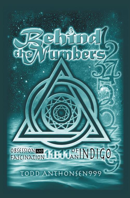 Cover of the book Behind the Numbers by Todd Anthonsen, Balboa Press