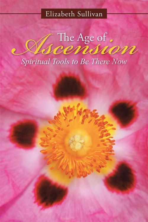 Cover of the book The Age of Ascension by Elizabeth Sullivan, Balboa Press