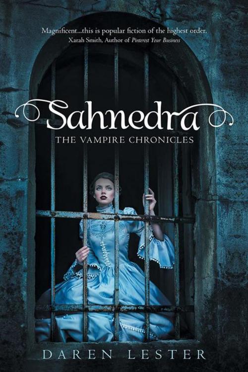 Cover of the book Sahnedra by Daren Lester, Balboa Press