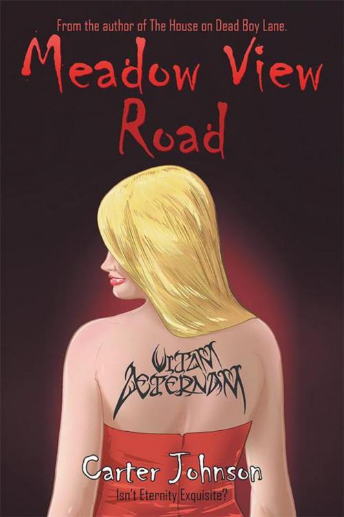 Cover of the book Meadow View Road by Carter Johnson, AuthorHouse