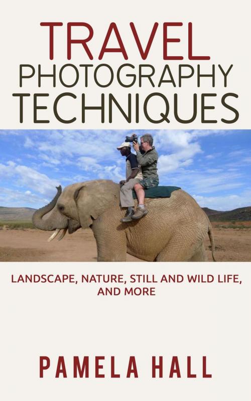 Cover of the book Travel Photography Techniques: Landscape, Nature, Still And Wild Life, And More! by Pamela Hall, Pamela Hall