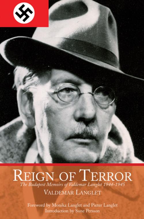 Cover of the book Reign of Terror by Valdemar Langlet, Skyhorse Publishing