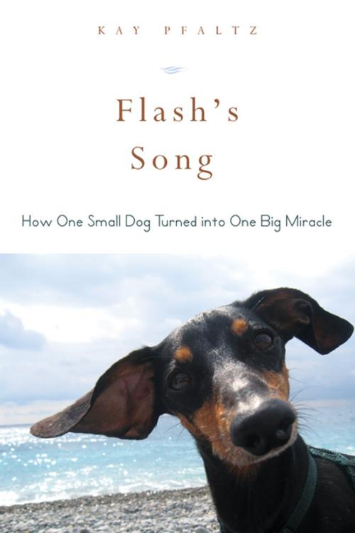 Cover of the book Flash's Song by Kay Pfaltz, Skyhorse Publishing