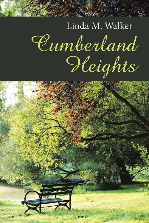 Cover of the book Cumberland Heights by Linda M. Walker, WestBow Press