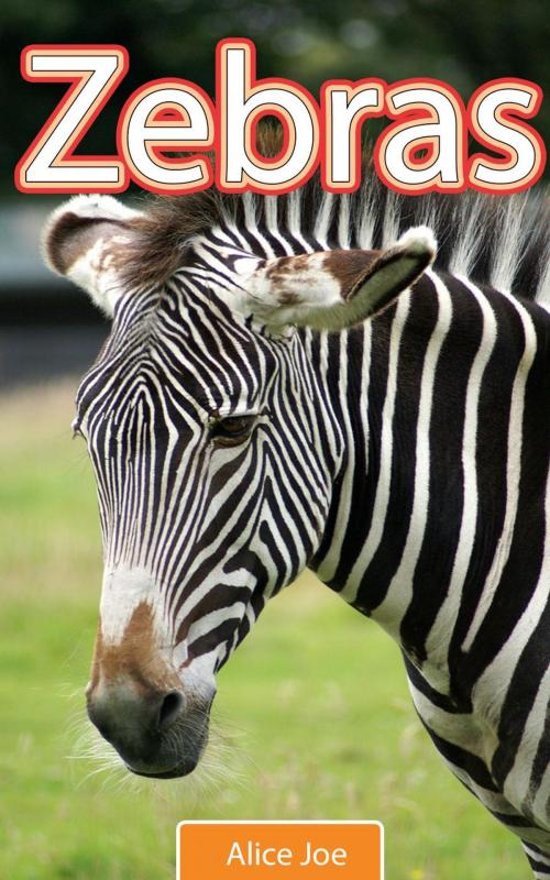 Cover of the book Zebras by Alice Joe, Alice Joe