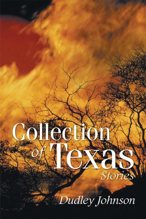 Cover of the book Collection of Texas Stories by Dudley Johnson, Xlibris US