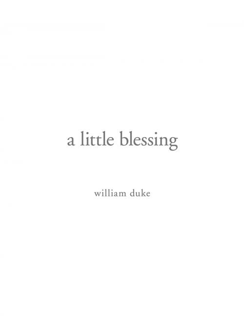 Cover of the book A Little Blessing by Bako Ambianda, Xlibris US