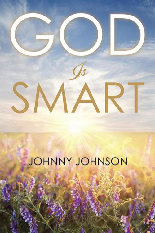 Cover of the book God Is Smart by Johnny Johnson, Xlibris US