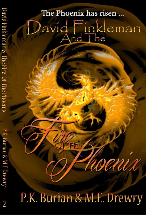 Cover of the book David Finkleman and the Fire of the Phoenix by PK Burian, ME Drewry, PK Burian