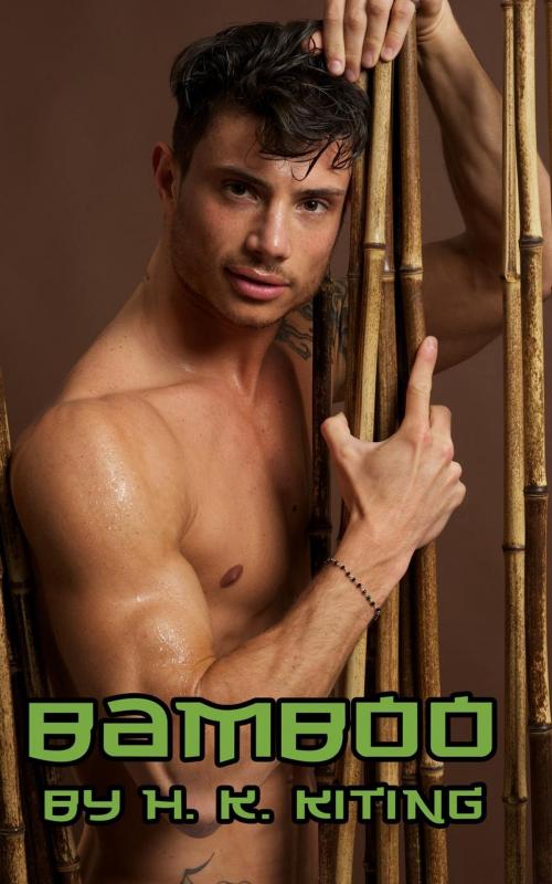 Cover of the book Bamboo by H. K. Kiting, sexyfic.com